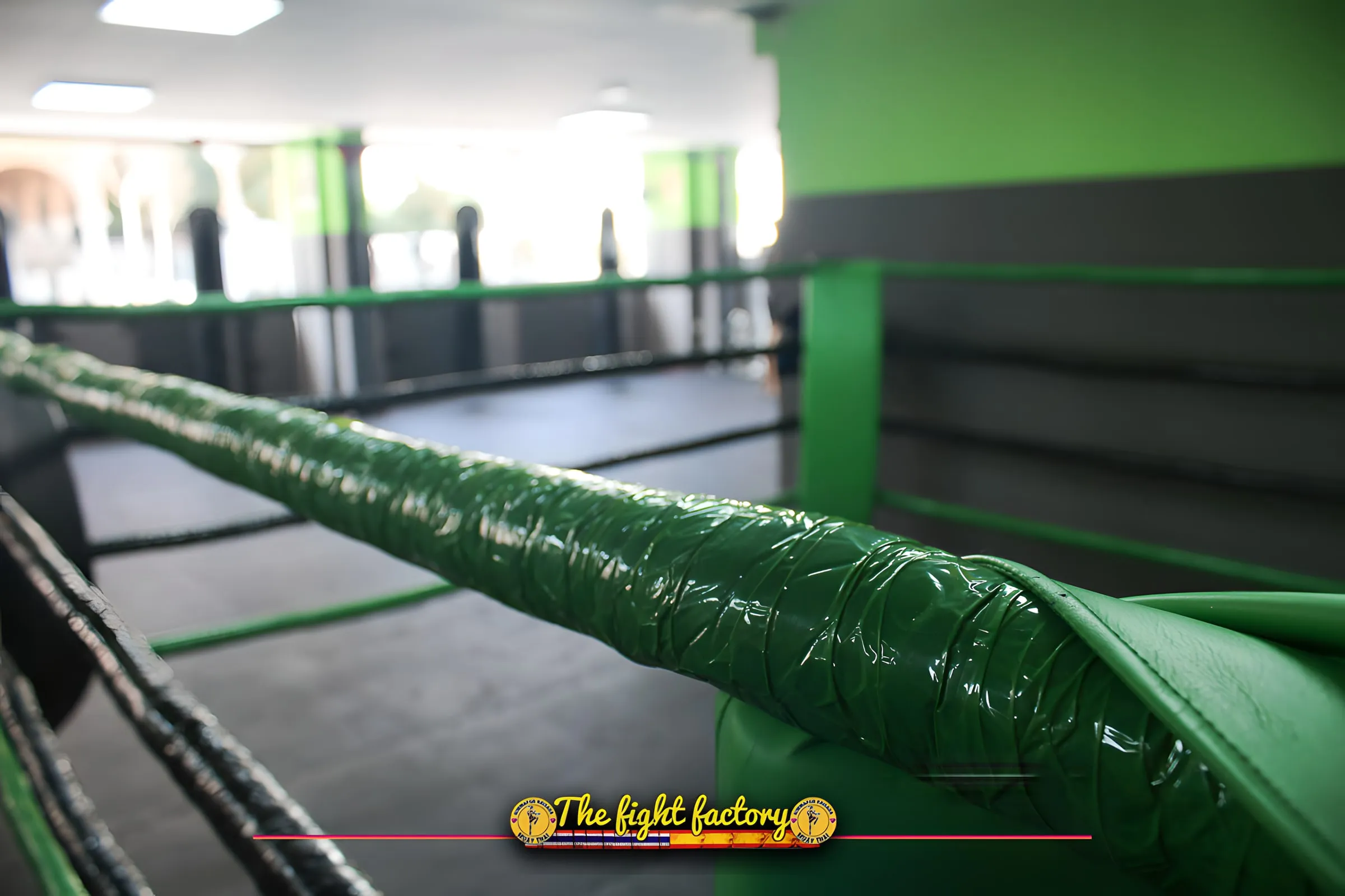 Cuerdas del ring