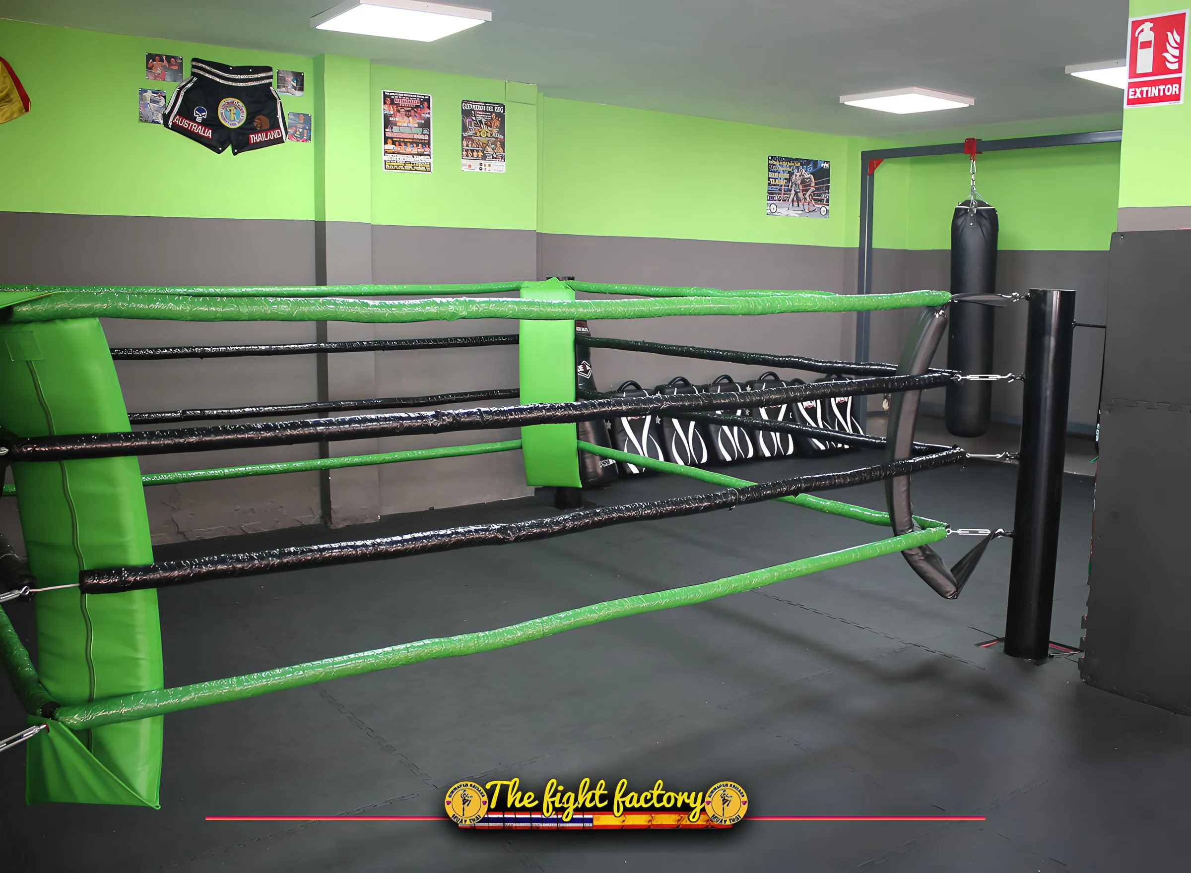El ring de The Fight Factory